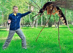 Эплан - снятие зуда кожи после укуса комаров, ос, пчел.